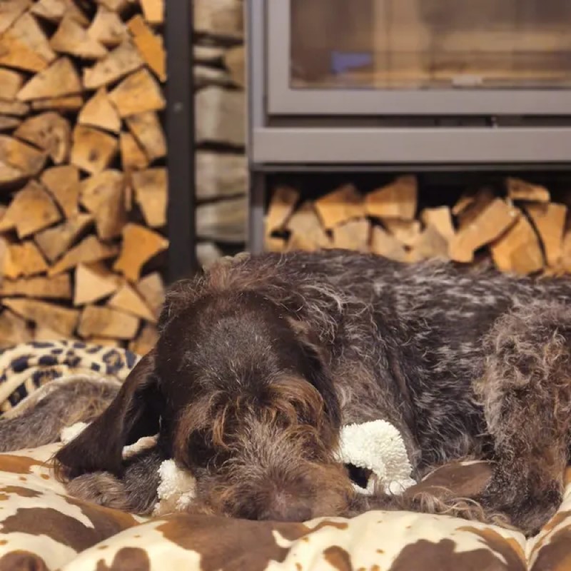Chiara - Cuscino letto per cani e gatti
