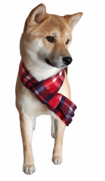 SCIARPA PILE SHIBA INU